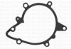 CIFAM 824-625 Water Pump